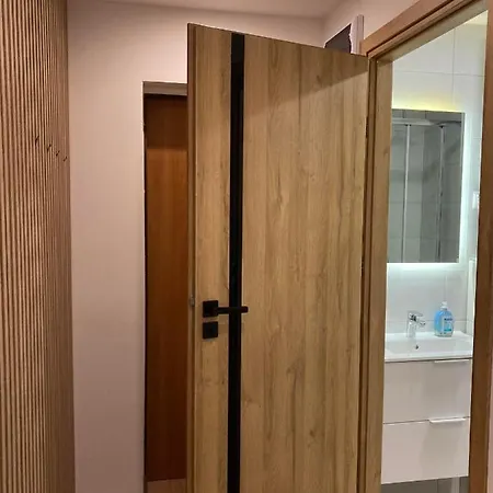 Apartment 221 Przy Niedzwiadku