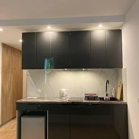 Apartment 221 Przy Niedzwiadku