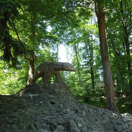 221 Przy Niedzwiadku Polanica-Zdroj