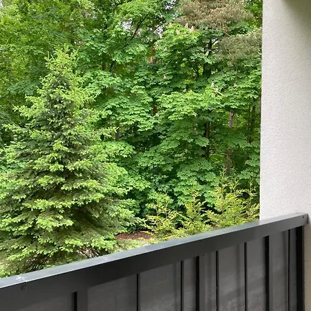 Apartment 221 Przy Niedzwiadku *