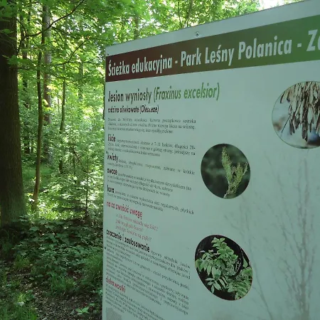 221 Przy Niedzwiadku *