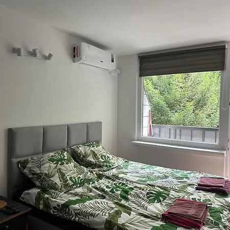 221 Przy Niedzwiadku * Bad Altheide