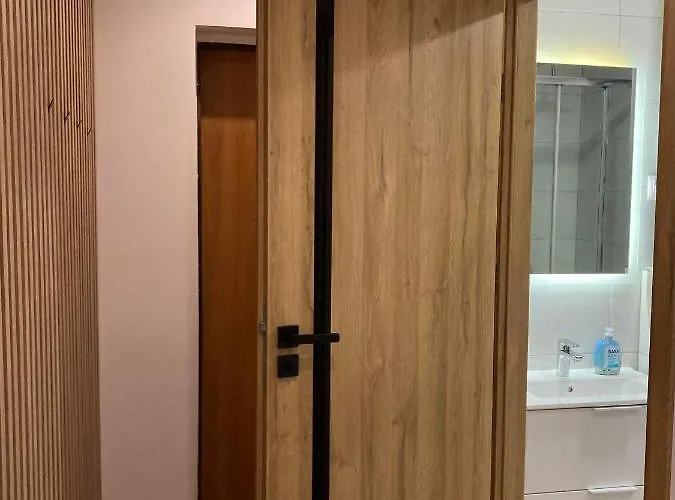 Apartment 221 Przy Niedzwiadku