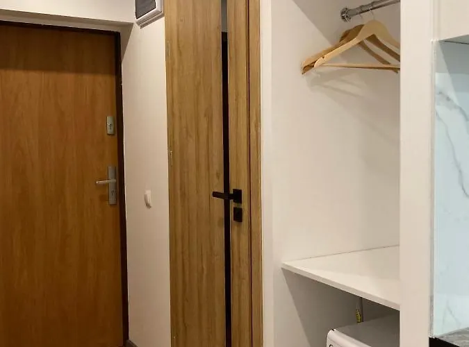 Apartment 221 Przy Niedzwiadku