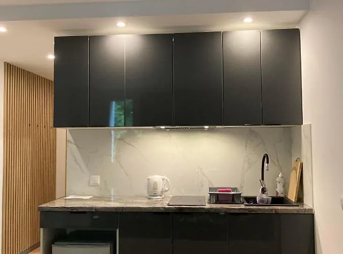 Apartment 221 Przy Niedzwiadku