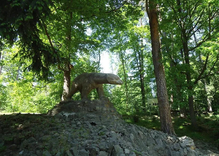 221 Przy Niedzwiadku Polanica-Zdroj