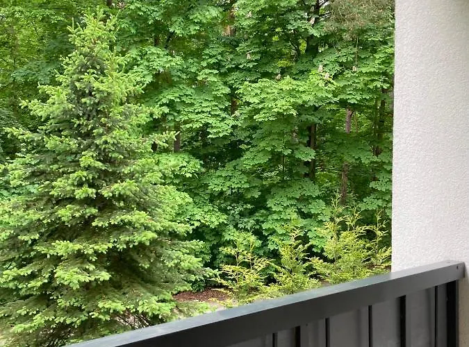 Apartment 221 Przy Niedzwiadku *