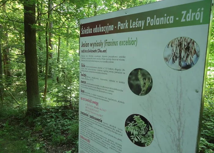 221 Przy Niedzwiadku *